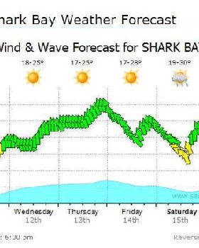 shark bay