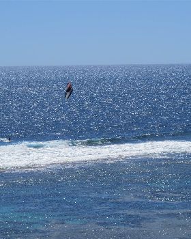Ian catching a wave into Horrocks lagoon