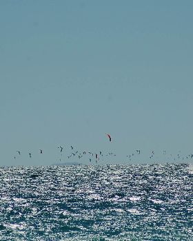 L2L From Leighton Beach