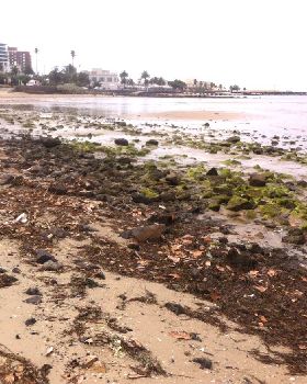 rocks stkilda p3