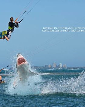 flying-shark