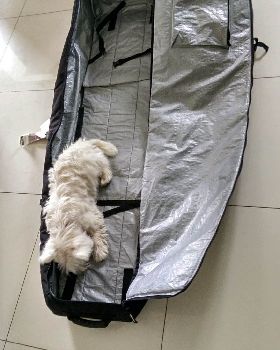 golf bag