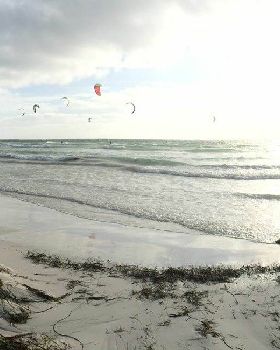 Kitestock 15