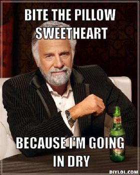 resized the-most-interesting-man-in-the-world-meme-generator-bite-the-pillow-sweetheart-because-i-m-