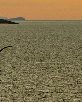 Flysurfer Sonic FR 18m