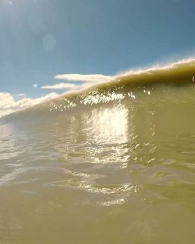 Wave