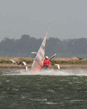 windsurfer