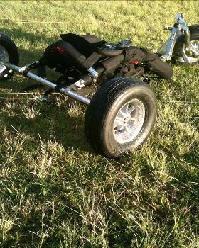 Sysmic buggy