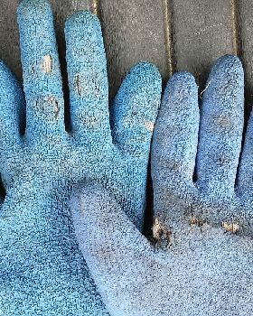 Worn gloves