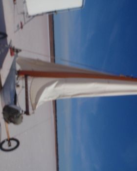 the project