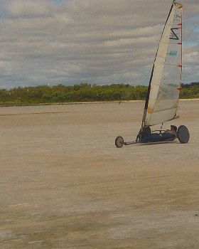 regatta