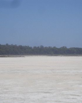 DSC05224
