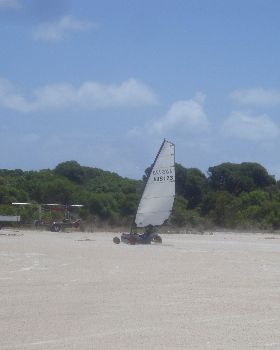 DSC05310