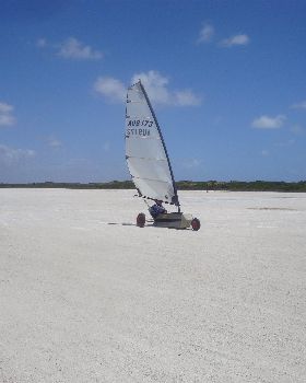 DSC05313