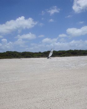 DSC05314