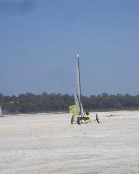 DSC05481