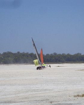 DSC05486