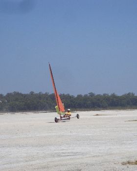 DSC05487