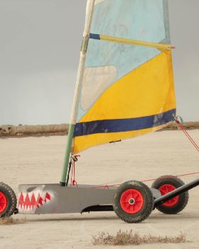 Shark tooth mini