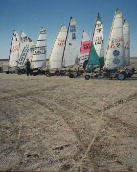 NewZealand Champion ships
