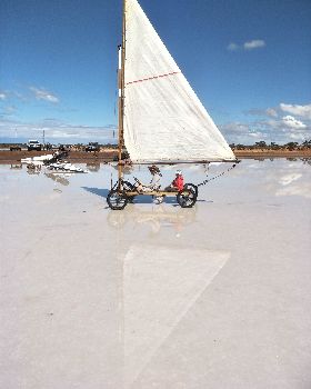 yachts