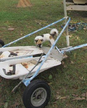 scouts tandem landyacht  side 2