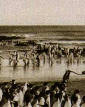 Historical photos