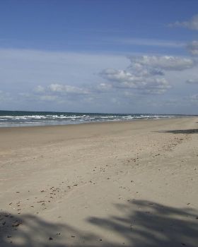 A Great day at Coonarr-20k South of Bundy.