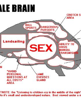 Landsailing Brain