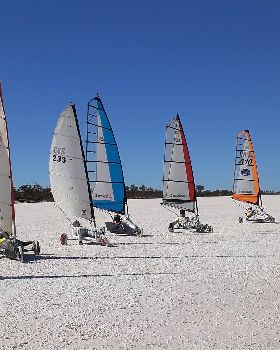 mini fleet