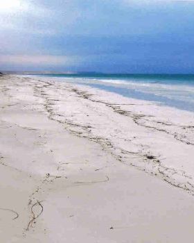 Eucla
