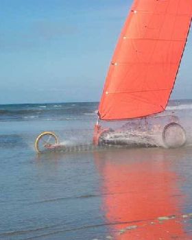 Brandon Wave