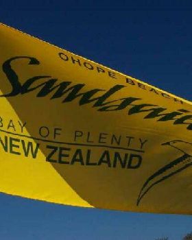 OBSS Flag