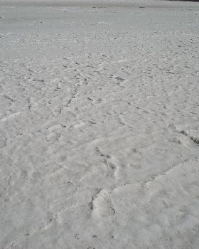 bumpy surface