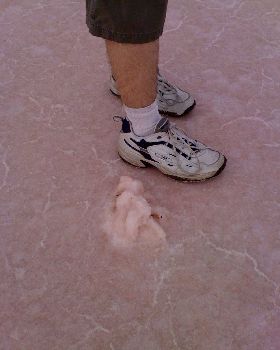Lochiel lumps