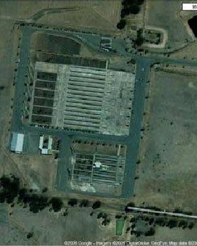 Bendigo stock exchange/saleyards