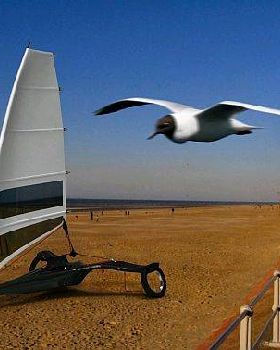 albatros 1 LdsuT 69