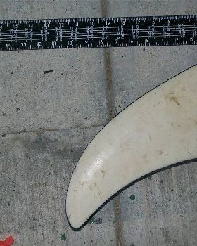 fins for paul