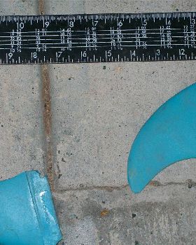 fins for paul