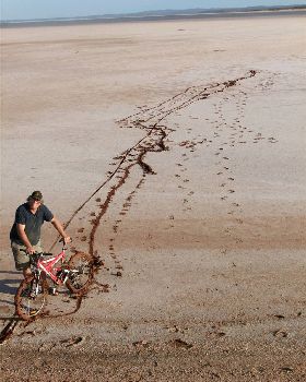 bikes in bogs