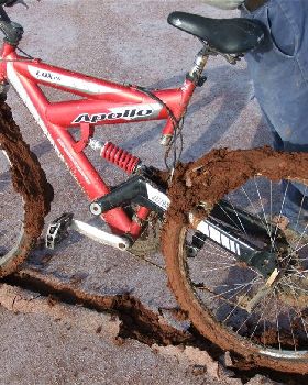 bikes in bogs