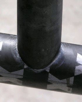 LittleBeast Epigen.02