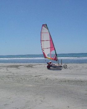 DSC00530