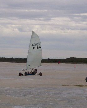 sandgropers