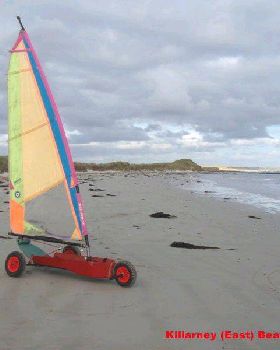 Second Lefroy Mini from Lachlan