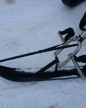 skis for my zooter