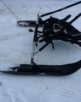 skis for my zooter