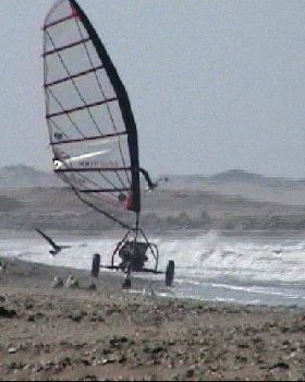 LANDSAILING  EN BAHIA DE LOBOS