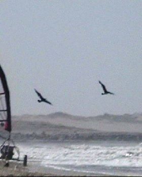 LANDSAILING  EN BAHIA DE LOBOS