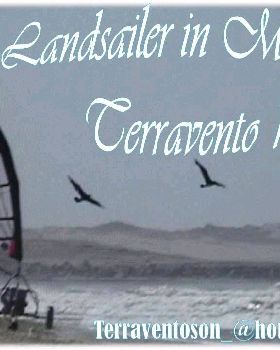 terravento gaviotas